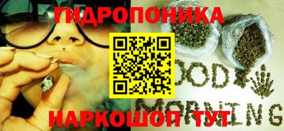 Альфа ПВП Гусев
